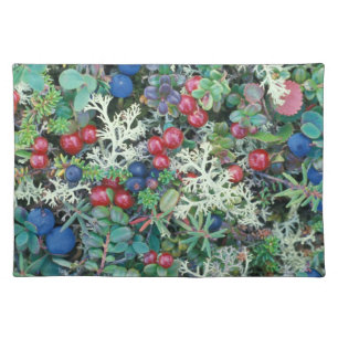 North America, USA, Alaska, Landscape, berries Placemat