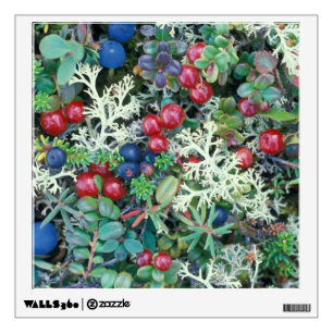 North America, USA, Alaska, Landscape, berries Wall Sticker