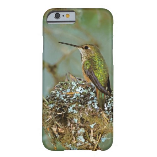 North America USA Alaska Rufous Humming bird Barely There iPhone 6 Case