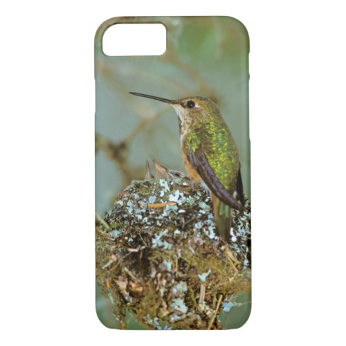 North America USA Alaska Rufous Humming bird iPhone 87 Case