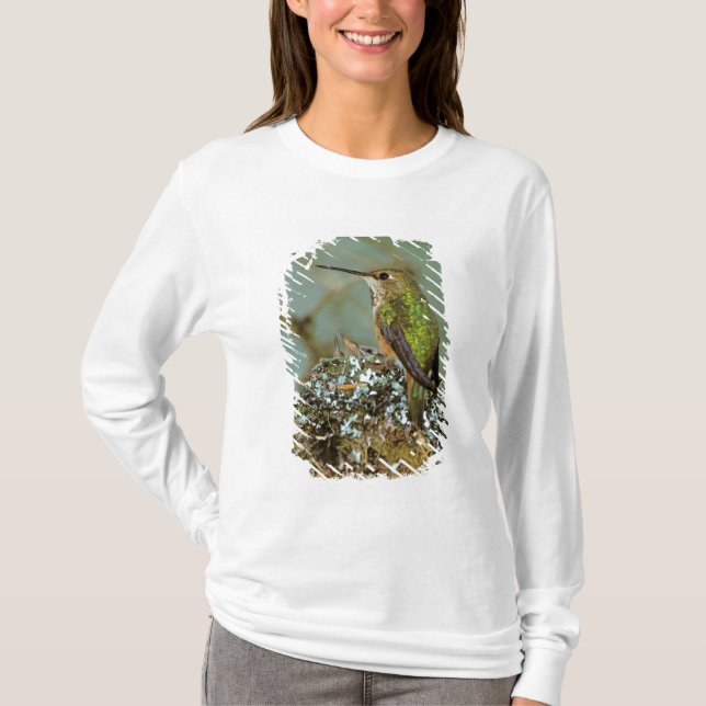North America, USA, Alaska. Rufous Humming bird T-Shirt (Front)