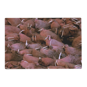 North America, USA, Alaska, Yukon Delta National Placemat