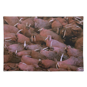 North America, USA, Alaska, Yukon Delta National Placemat