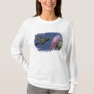North America, USA, Arizona. Broad-billed T-Shirt