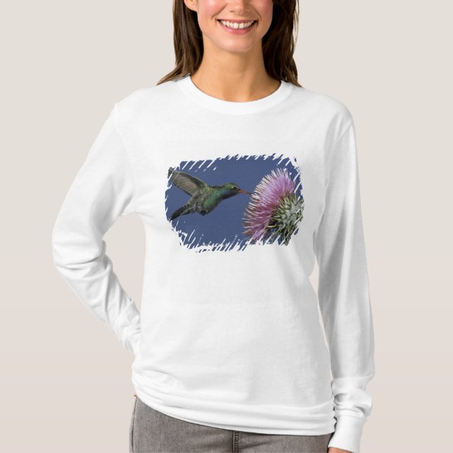North America, USA, Arizona. Broad-billed T-Shirt (Front)