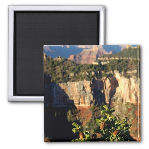 North America USA Arizona Grand Canyon Magnet