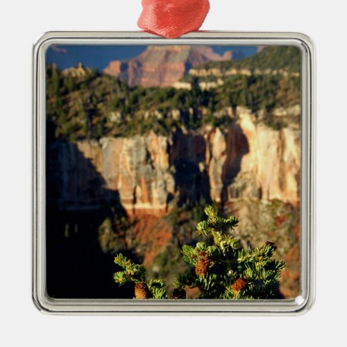 North America USA Arizona Grand Canyon Metal Ornament