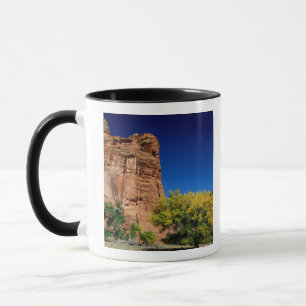 North America, USA, Arizona, Navajo Indian 3 Mug