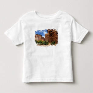 North America, USA, Arizona, Navajo Indian 5 Toddler T-shirt