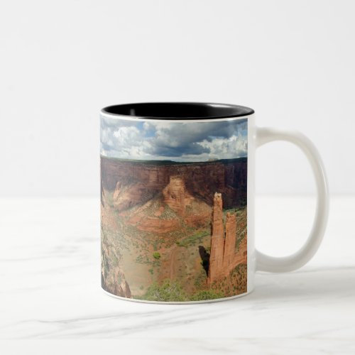 North America USA Arizona Navajo Indian 6 Two_Tone Coffee Mug