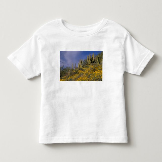 North America, USA, Arizona, Organ Pipe Cactus Toddler T-shirt (Front)