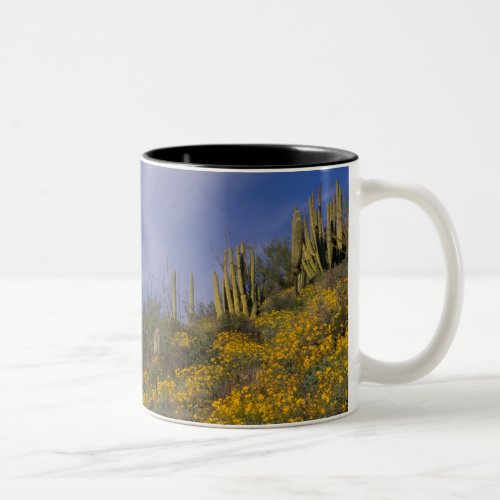 North America USA Arizona Organ Pipe Cactus Two_Tone Coffee Mug