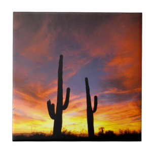 North America, USA, Arizona, Sonoran Desert Ceramic Tile
