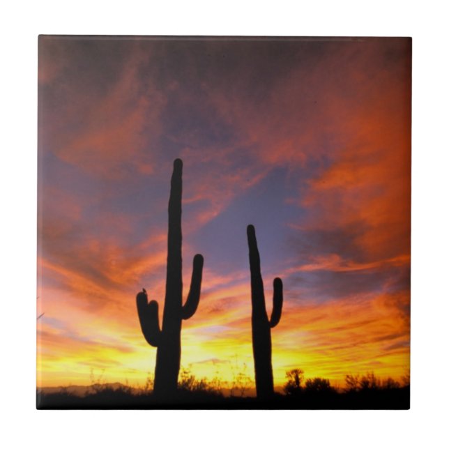 North America, USA, Arizona, Sonoran Desert Ceramic Tile (Front)