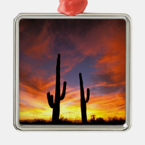 North America USA Arizona Sonoran Desert Metal Ornament