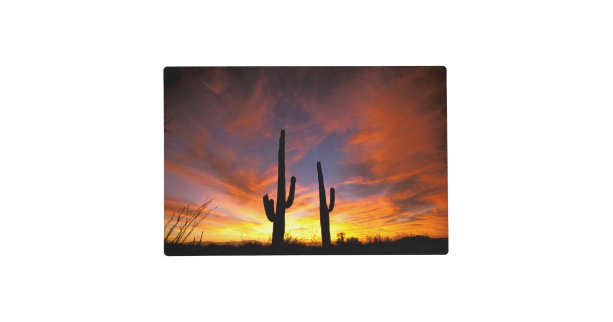North America, USA, Arizona, Sonoran Desert. Placemat