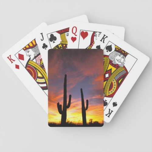 North America USA Arizona Sonoran Desert Playing Cards