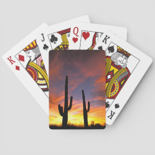 North America, USA, Arizona, Sonoran Desert. Poker Cards