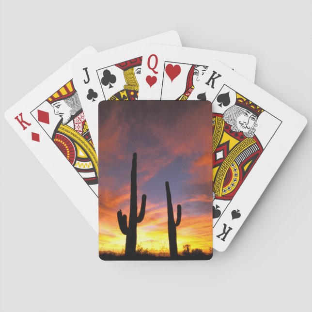 North America, USA, Arizona, Sonoran Desert. Poker Cards (Back)