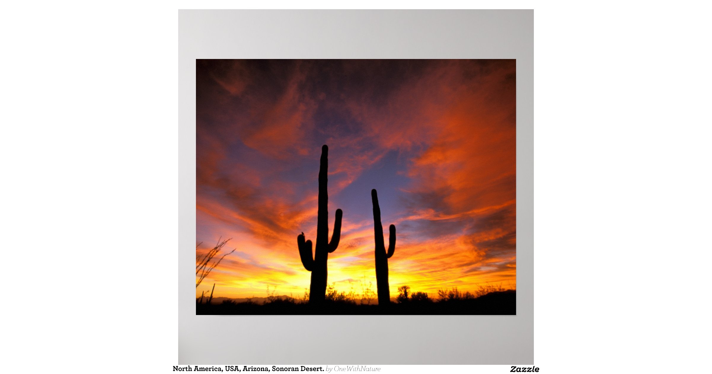 north_america_usa_arizona_sonoran_desert_poster ...