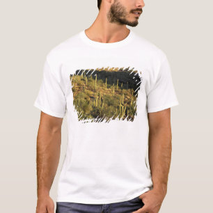 North America, USA, Arizona, Sonoran Desert T-Shirt