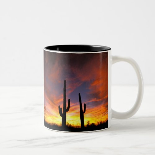 North America USA Arizona Sonoran Desert Two_Tone Coffee Mug