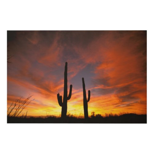 North America USA Arizona Sonoran Desert Wood Wall Decor