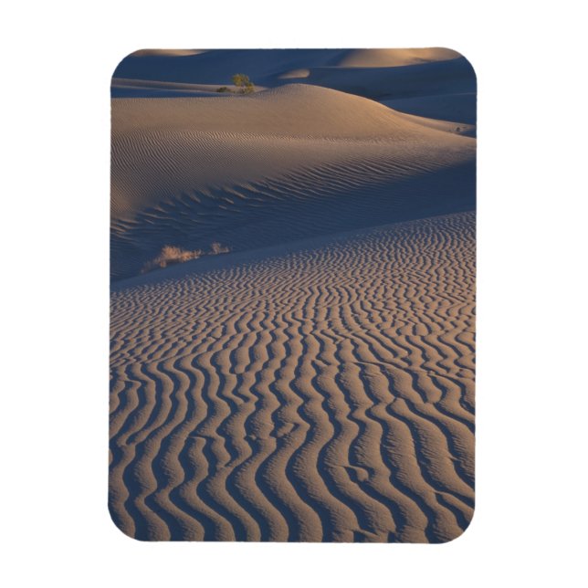 North America, USA, Califorinia, Death Valley Magnet (Vertical)