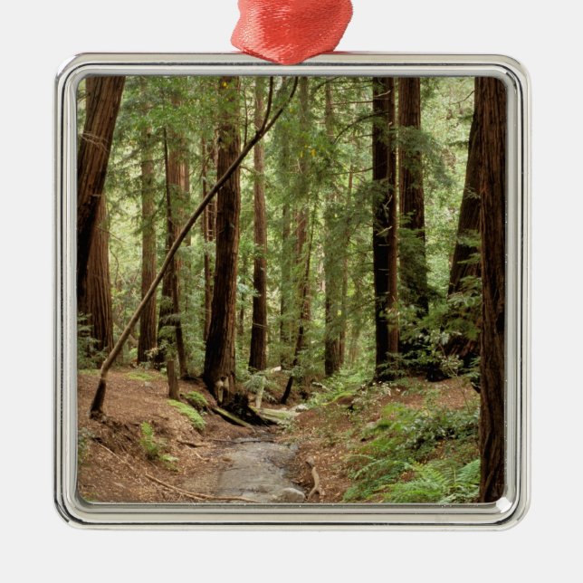 North America, USA, California, Big Sur, 3 Metal Ornament (Front)