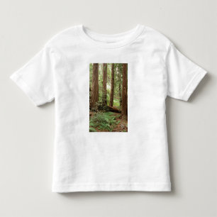 North America, USA, California, Big Sur, Toddler T-shirt