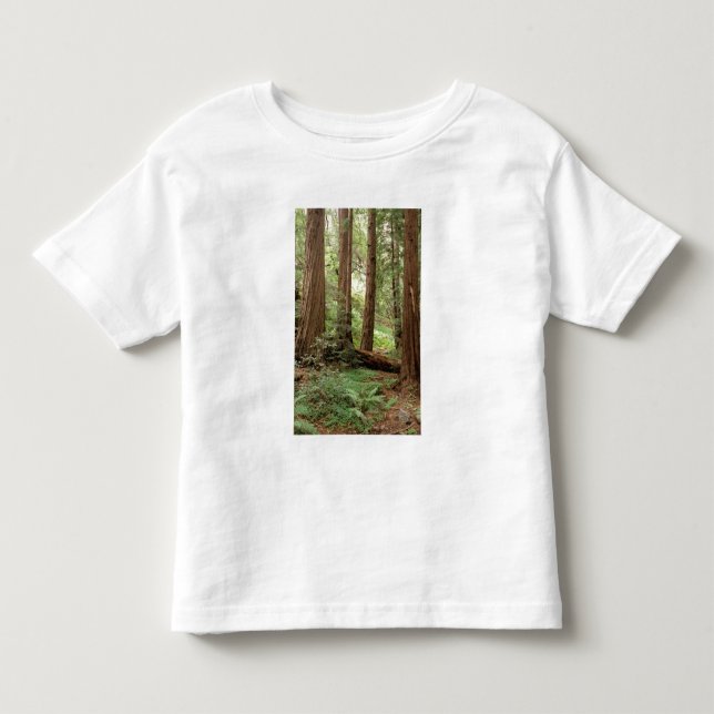 North America, USA, California, Big Sur, Toddler T-shirt (Front)
