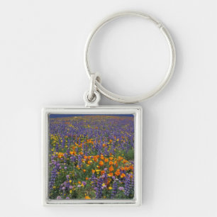 North America, USA, California, Los Angeles 2 Keychain