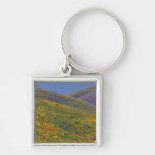 North America, USA, California, Los Angeles Keychain