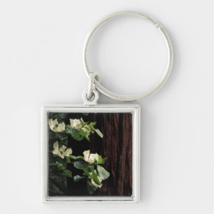 North America, USA, California, Yosemite 2 Keychain