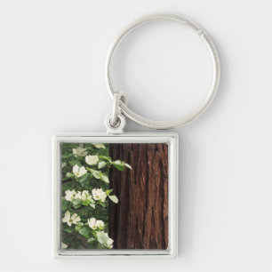 North America, USA, California, Yosemite 3 Keychain