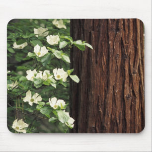 North America, USA, California, Yosemite 3 Mouse Pad