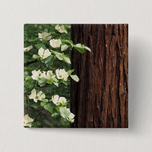 North America, USA, California, Yosemite 3 Pinback Button