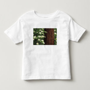 North America, USA, California, Yosemite 3 Toddler T-shirt