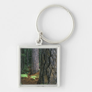 North America, USA, California, Yosemite Keychain