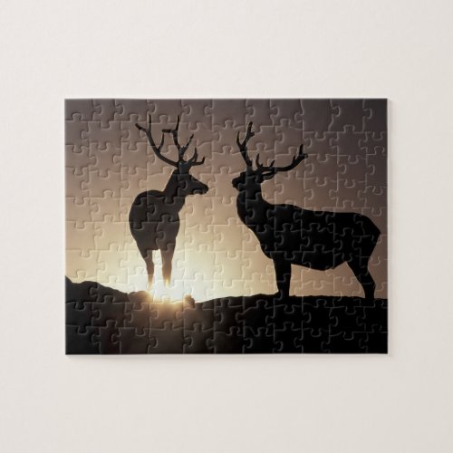 North America USA Colorado Rocky Mountains Jigsaw Puzzle