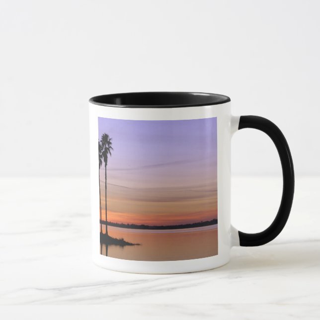 North America, USA, Florida, Mt. Dora, a trio Mug (Right)