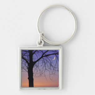 North America, USA, Florida, Mt. Dora, the Keychain