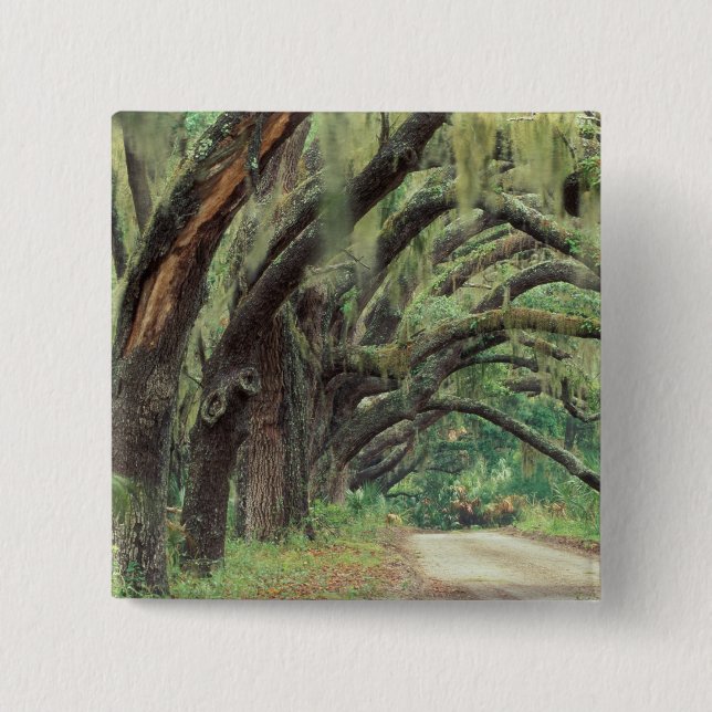 North America, USA, Georgia, Cumberland 2 Button (Front)