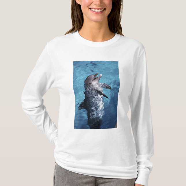 North America, USA, Hawaii. Dolphin T-Shirt (Front)
