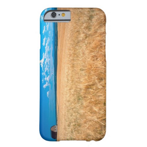 North America USA Idaho Barley field in Barely There iPhone 6 Case