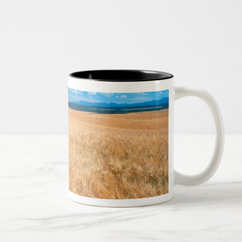 North America USA Idaho Barley field in Two_Tone Coffee Mug