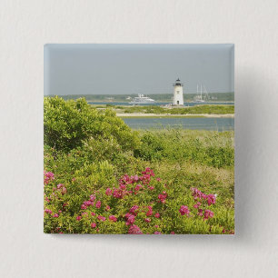 North America, USA, Massachusetts, Martha's Button