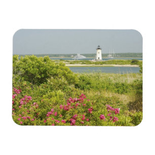 North America, USA, Massachusetts, Martha's Magnet