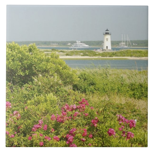 North America, USA, Massachusetts, Martha's Tile (Front)