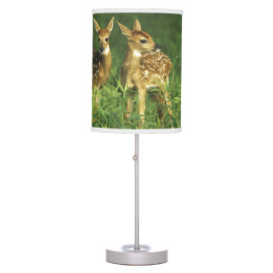 North America, USA, Minnesota. White-tailed 2 Table Lamp